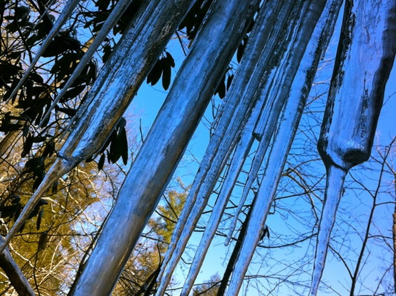 Winter on the Sheltowee Trace - 4